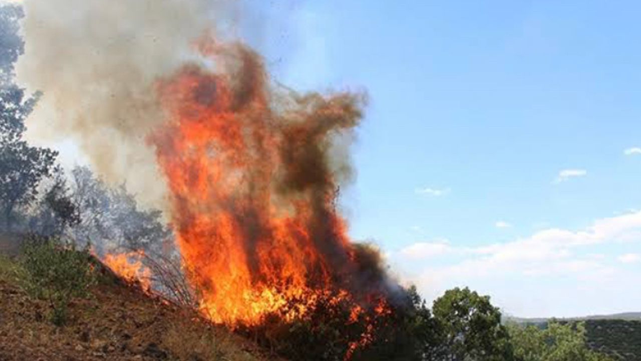 Manisa’da orman yangını! Vatandaşlar tahliye ediliyor!