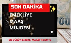 SON DAKİKA Emekli Maaşı 11.250 TL Oluyor! Resmi Gazete'de Açıklandı