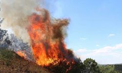 Manisa’da orman yangını! Vatandaşlar tahliye ediliyor!
